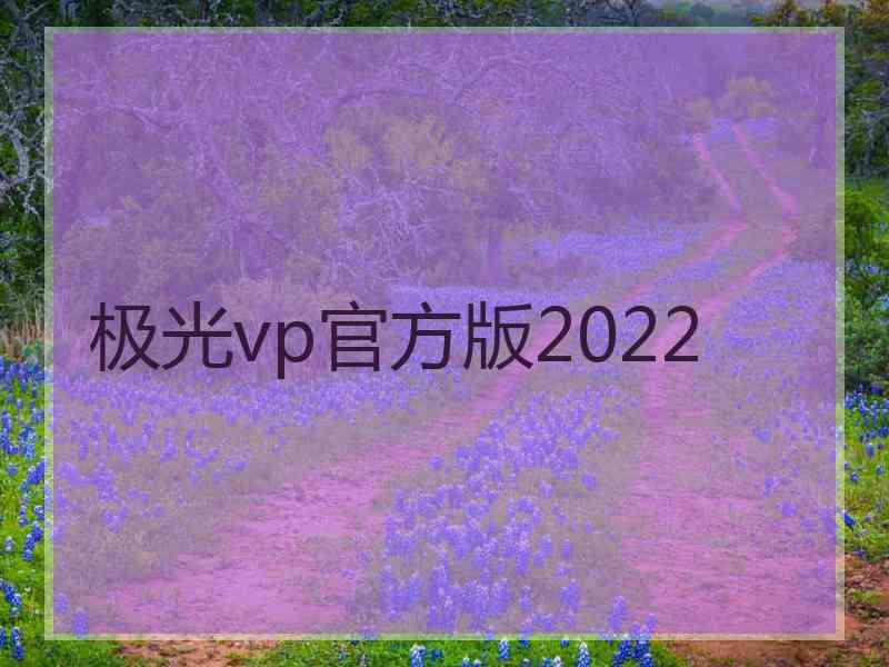 极光vp官方版2022