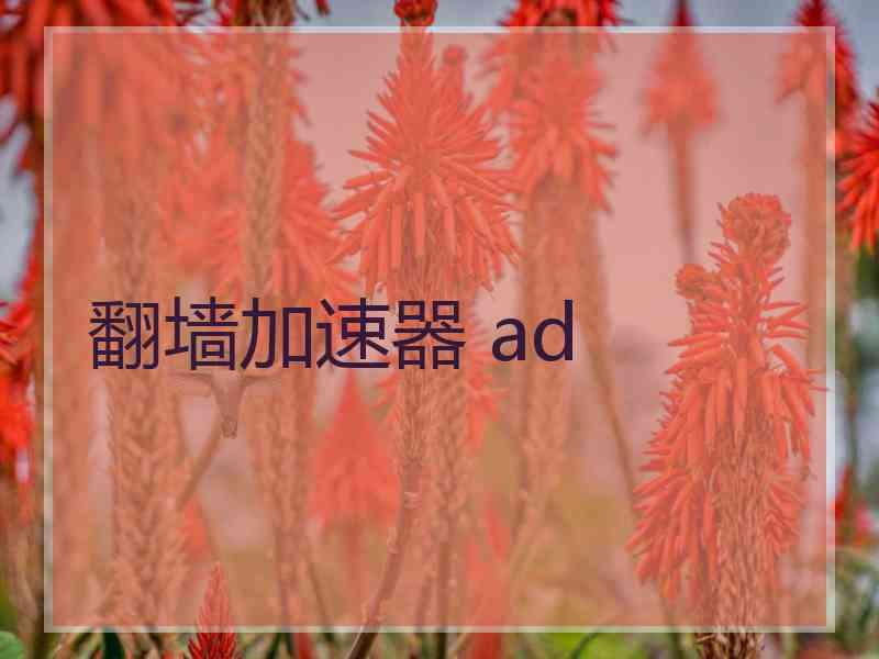 翻墙加速器 ad