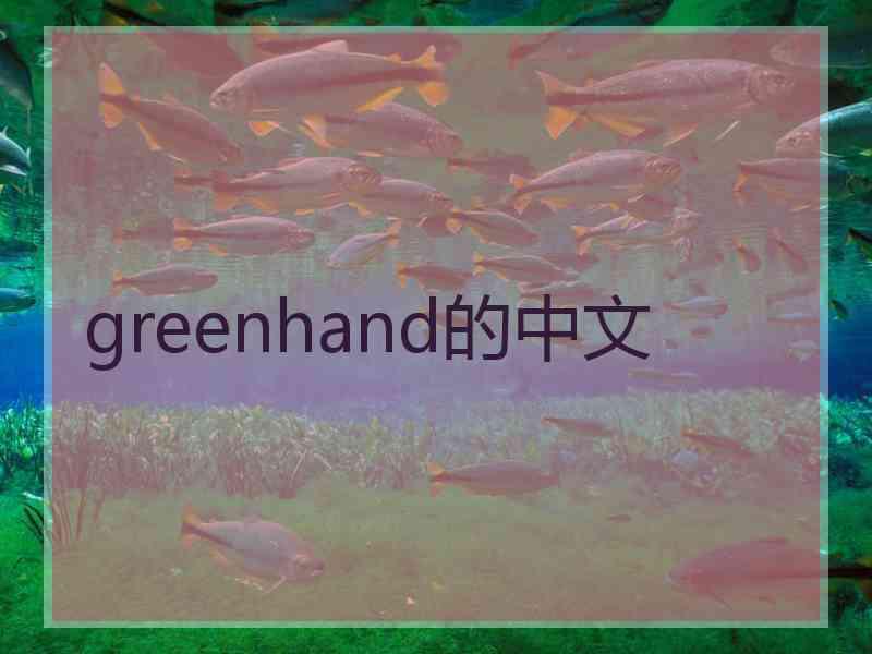 greenhand的中文