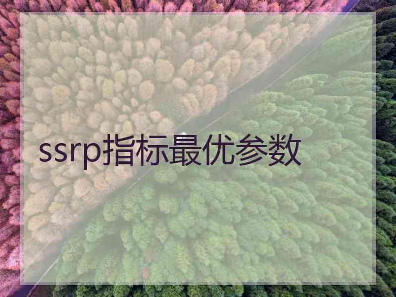 ssrp指标最优参数