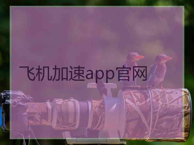 飞机加速app官网