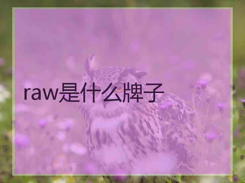 raw是什么牌子