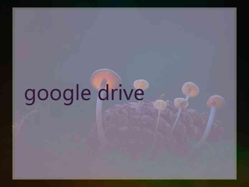 google drive