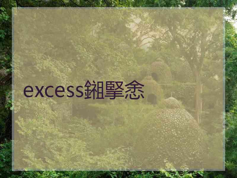 excess鎺掔悆