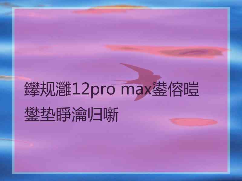 鑻规灉12pro max鍙傛暟鐢垫睜瀹归噺