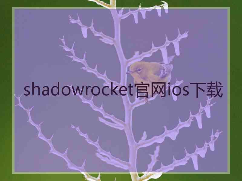 shadowrocket官网ios下载