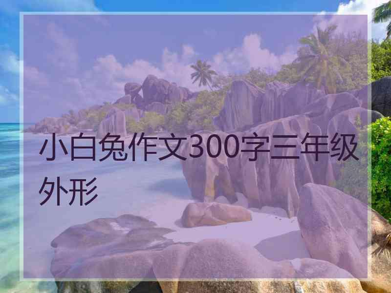 小白兔作文300字三年级外形