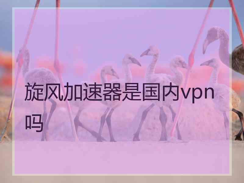 旋风加速器是国内vpn吗