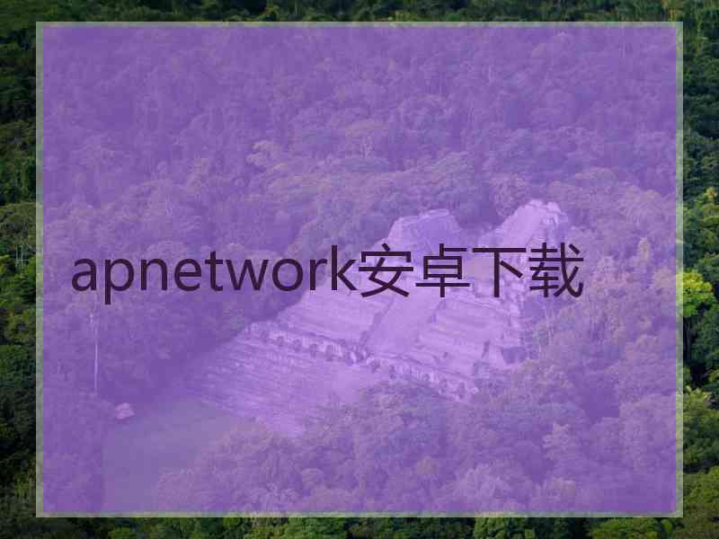 apnetwork安卓下载