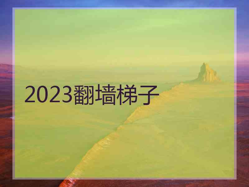 2023翻墙梯子