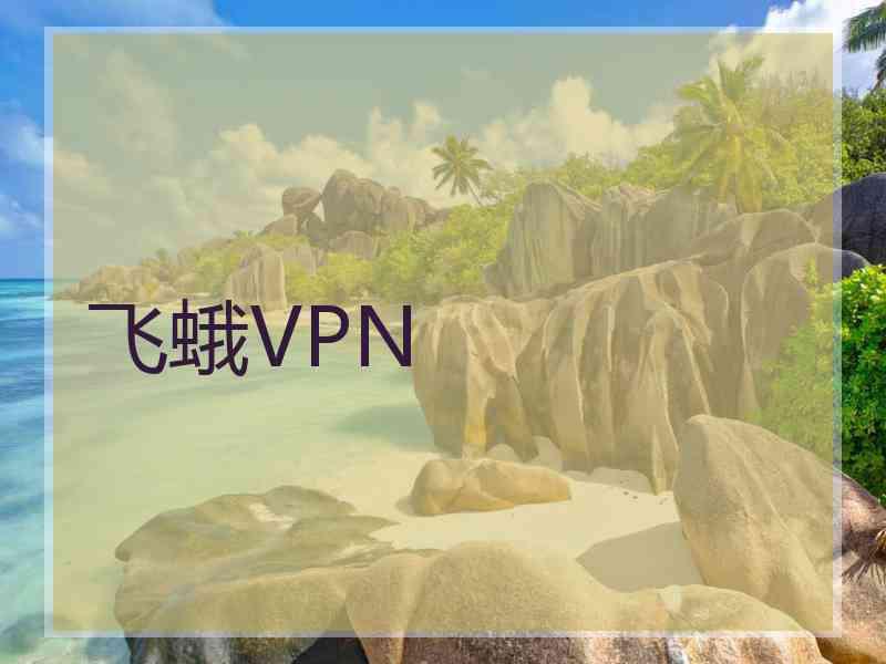 飞蛾VPN