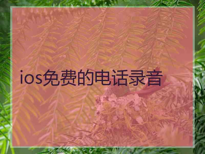 ios免费的电话录音