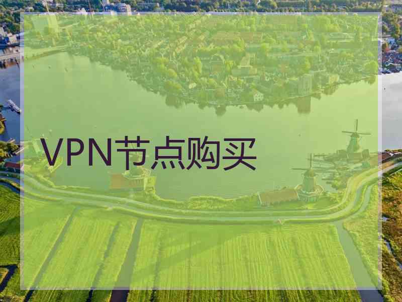 VPN节点购买