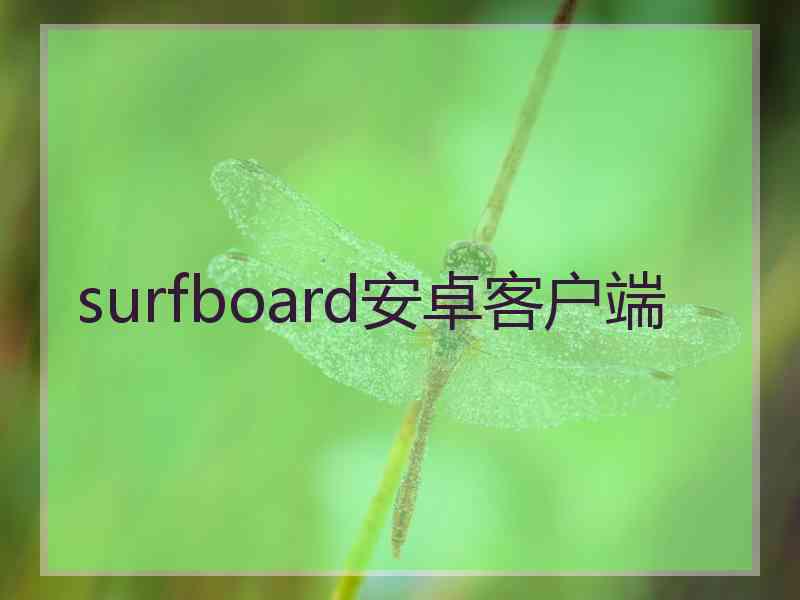 surfboard安卓客户端