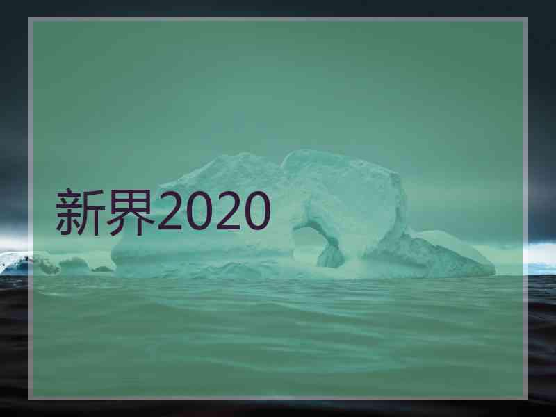 新界2020