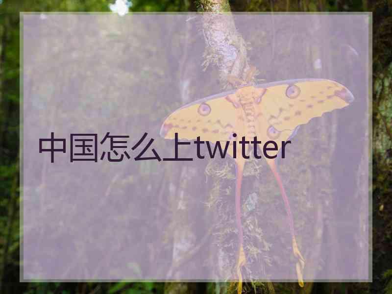 中国怎么上twitter