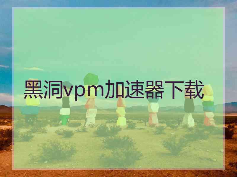 黑洞vpm加速器下载