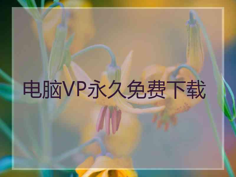 电脑VP永久免费下载