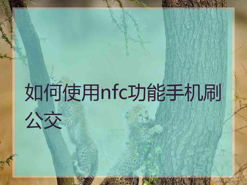 如何使用nfc功能手机刷公交