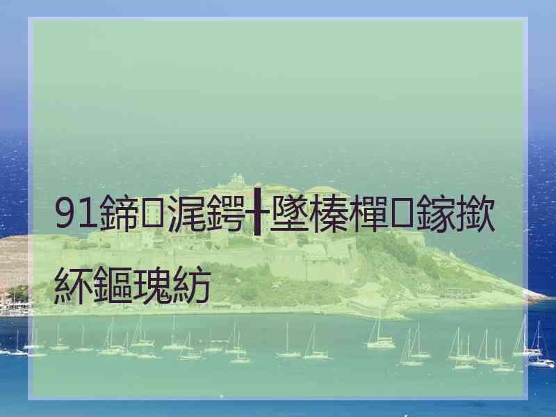 91鍗浘鍔╂墜榛樿鎵撳紑鏂瑰紡