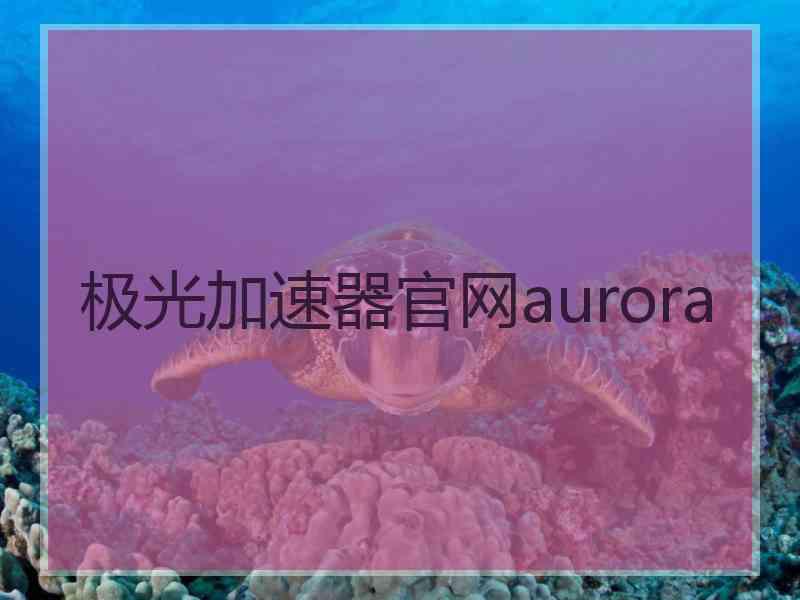 极光加速器官网aurora