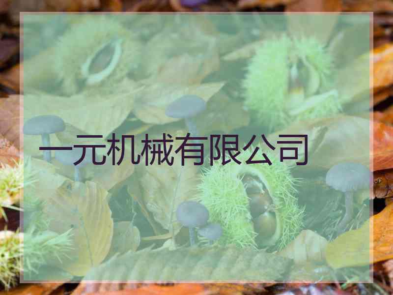 一元机械有限公司