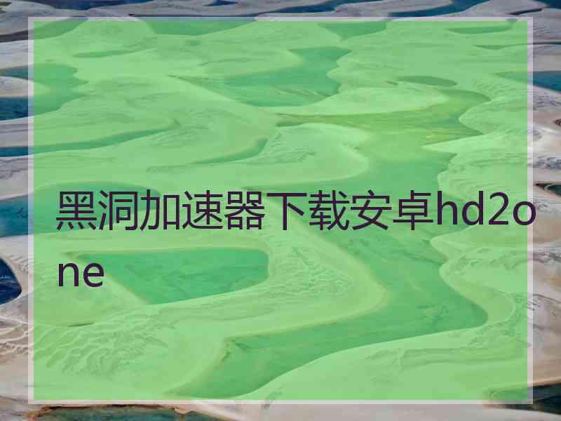 黑洞加速器下载安卓hd2one