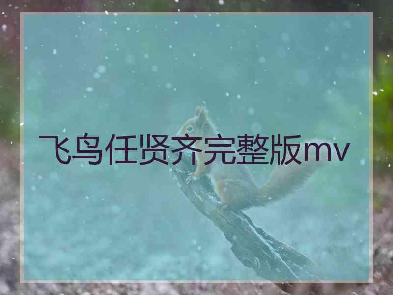 飞鸟任贤齐完整版mv