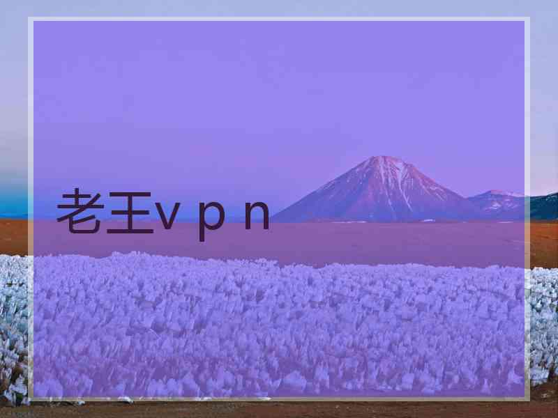 老王v p n