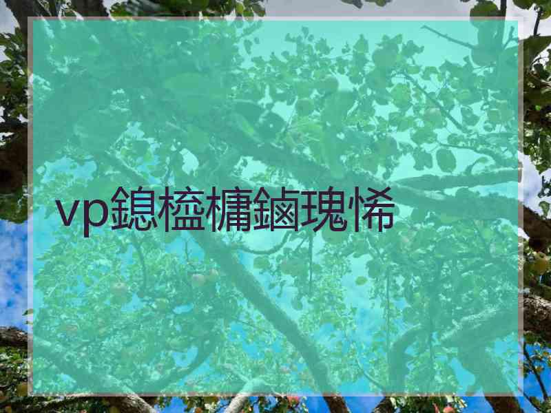 vp鎴橀槦鏀瑰悕