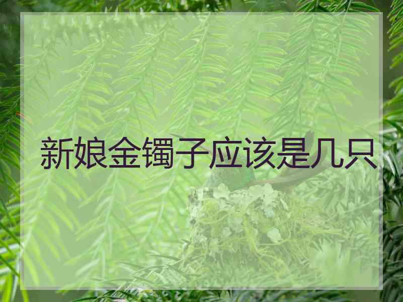 新娘金镯子应该是几只