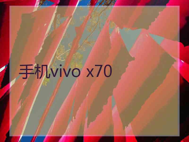 手机vivo x70