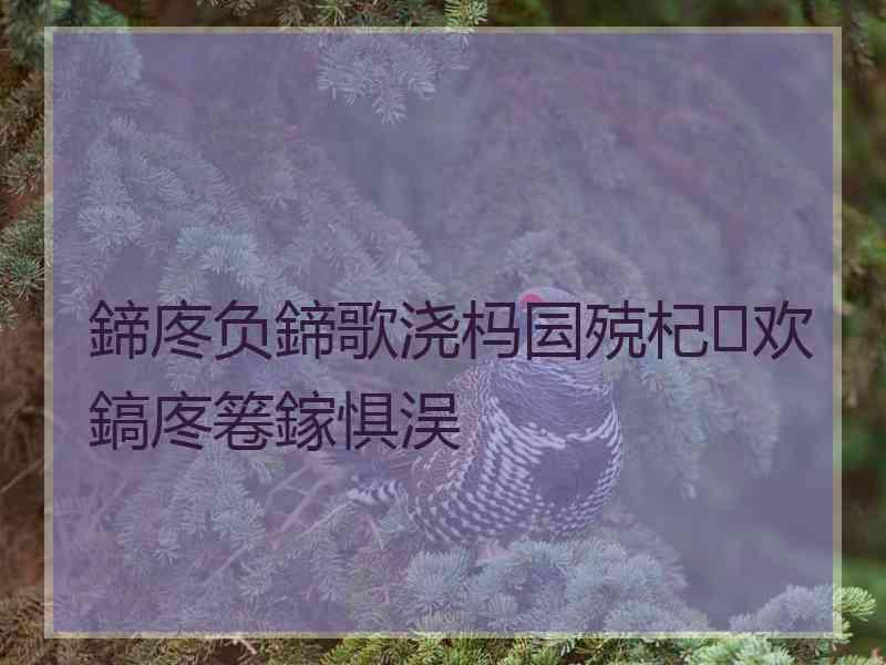 鍗庝负鍗歌浇杩囩殑杞欢鎬庝箞鎵惧洖