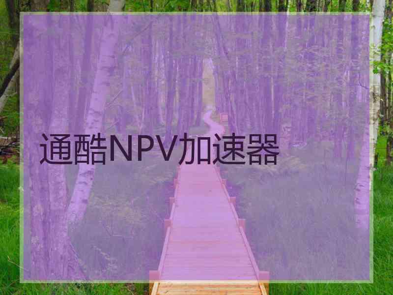 通酷NPV加速器