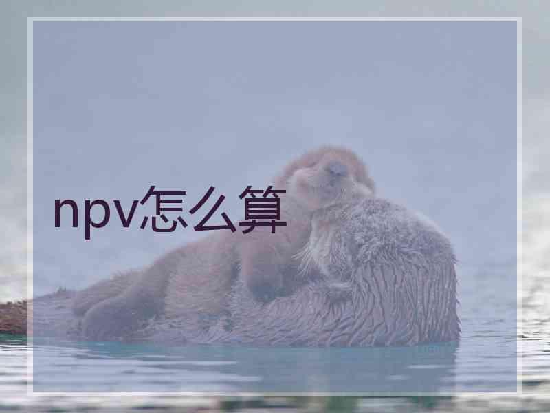 npv怎么算