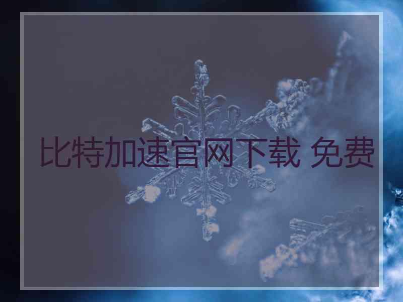 比特加速官网下载 免费