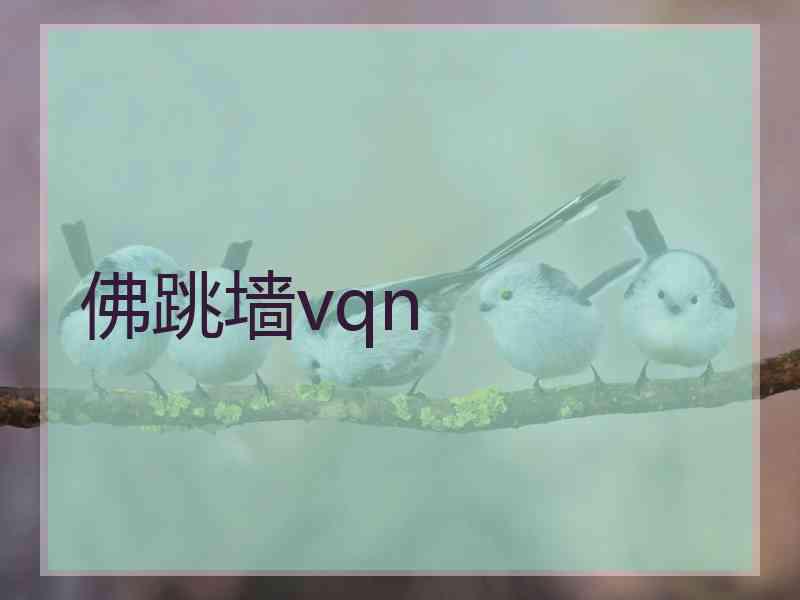 佛跳墙vqn