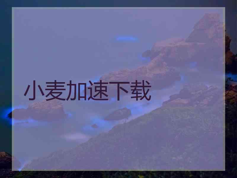 小麦加速下载