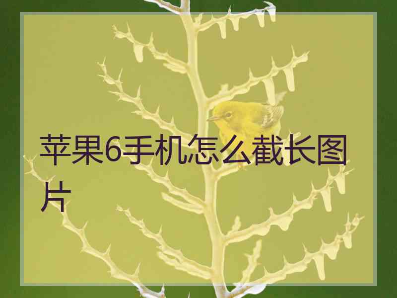 苹果6手机怎么截长图片