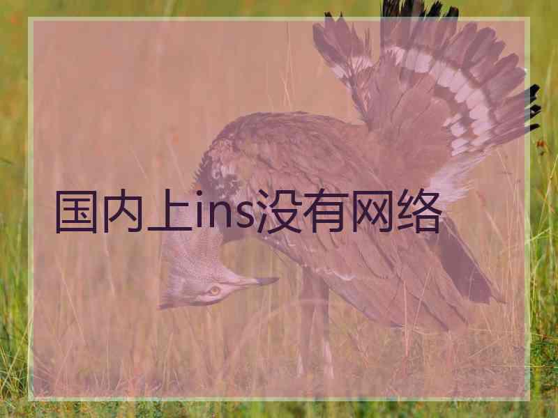 国内上ins没有网络