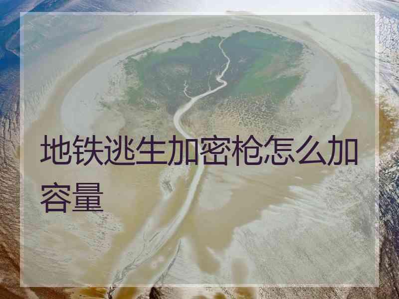 地铁逃生加密枪怎么加容量