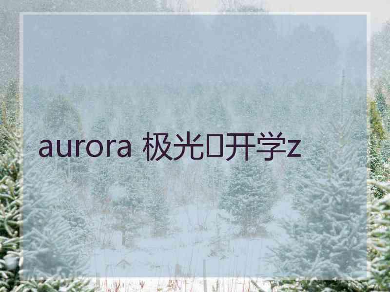 aurora 极光✨开学z