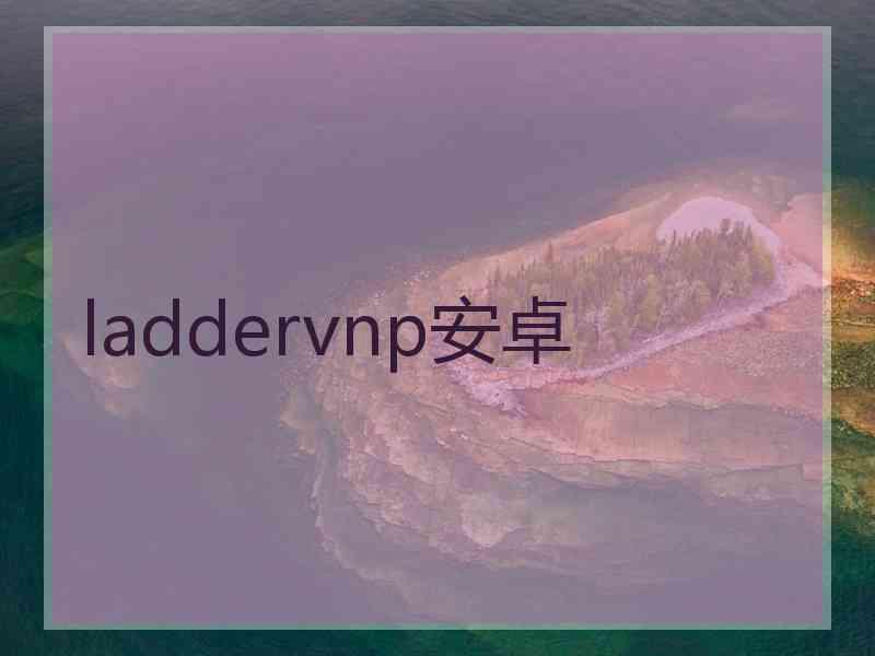 laddervnp安卓