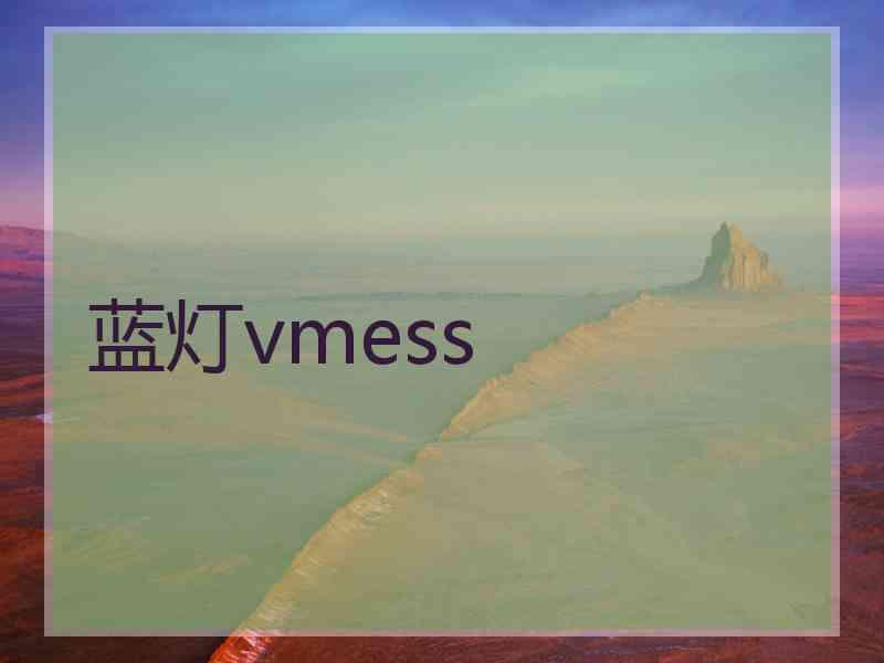 蓝灯vmess