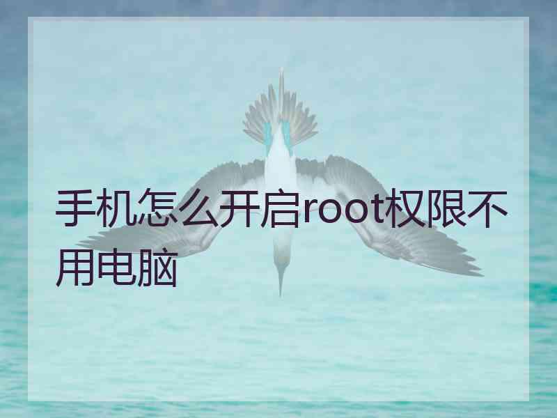 手机怎么开启root权限不用电脑