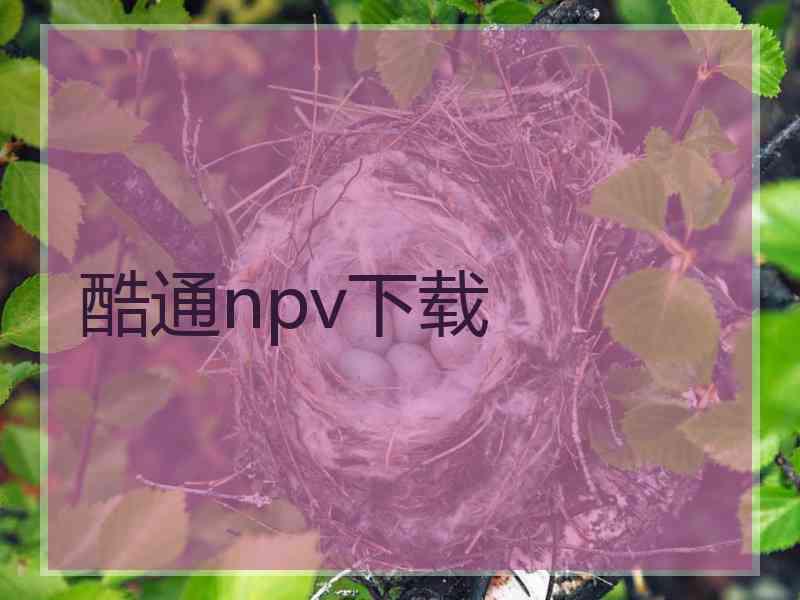 酷通npv下载