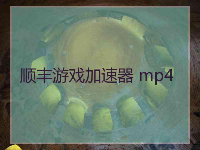 顺丰游戏加速器 mp4