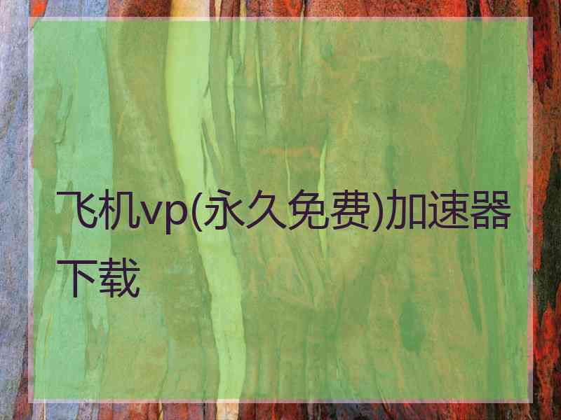 飞机vp(永久免费)加速器下载