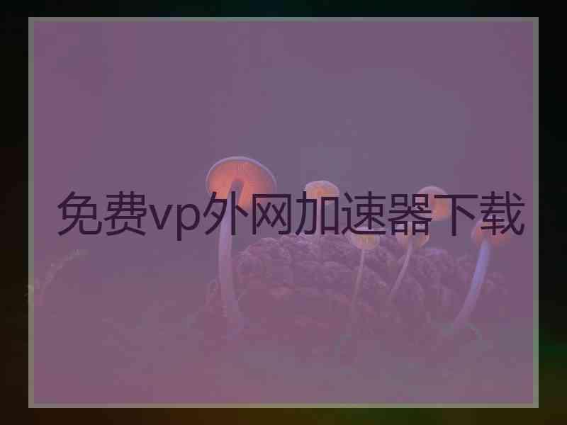 免费vp外网加速器下载