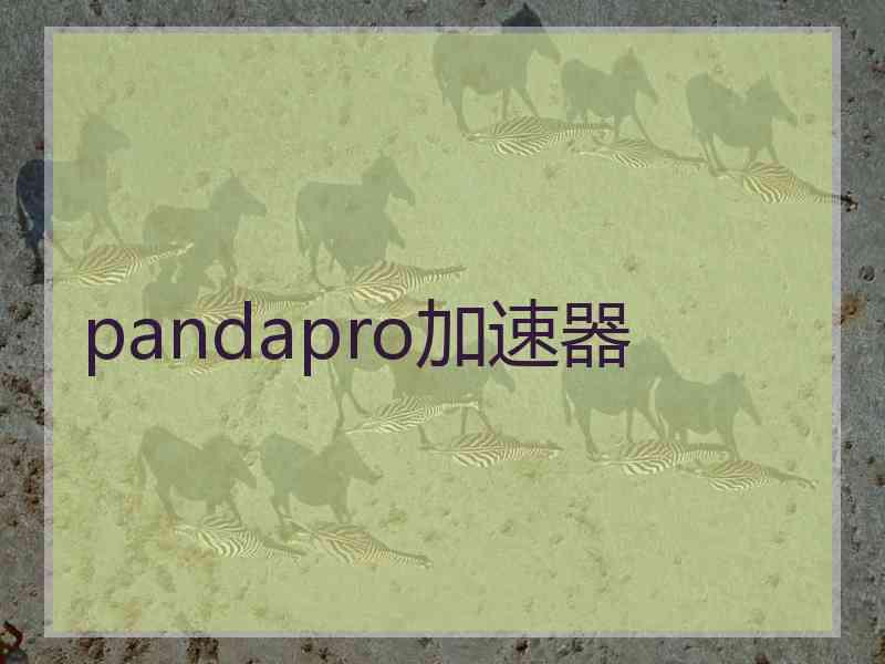 pandapro加速器